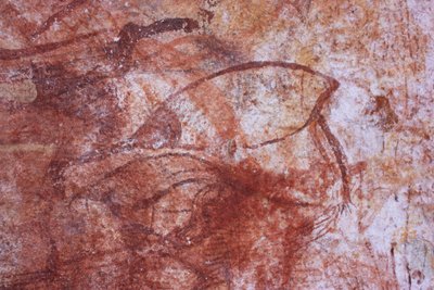 Früher Röntgenvogel von Unbekannt Unbekannt